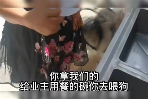 女子用公用餐具喂狗，被发现后称洗一下就可以了，你怎么看