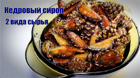 Кедровый сироп. Два вида сырья. - YouTube