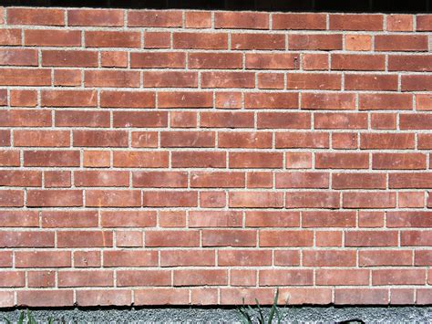 Fil:Solna Brick wall Silesian bond variation1.jpg – Wikipedia