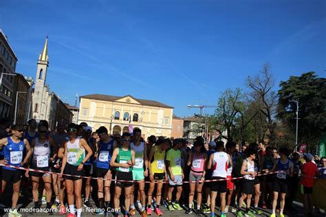 Vivicitt A Reggio Emilia Di Nerino Carri