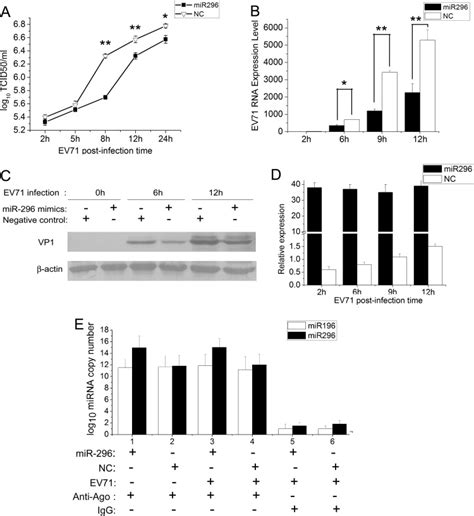 Human Microrna Hsa Mir 296 5p Suppresses Enterovirus 71 Replication By