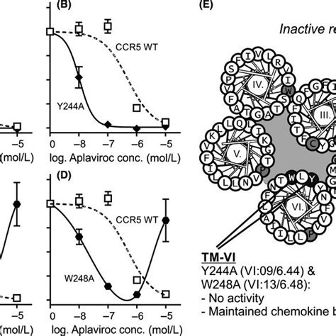 Dose Dependent Inhibition Of Cell Cell Fusion Using Maraviroc And