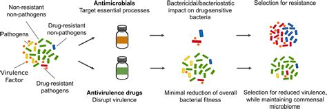 New Research Aids Fight Against Treatment Resistant Superbugs