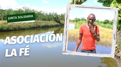 Digera Apoya A Productores De Tilapia En Saman Youtube