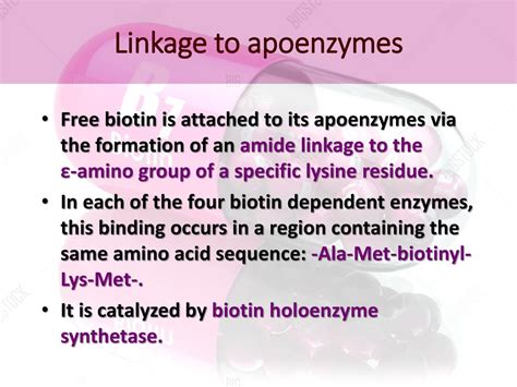 Absorption Transport And Metabolism Of Biotin Ppt Download