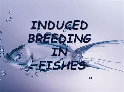 Induced Breeding In Fishes