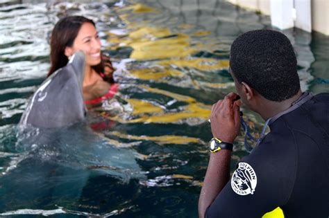 Getting A Kiss From Salvador Dolphin Encounters Blue Lagoon Island Bahamas Dolphin