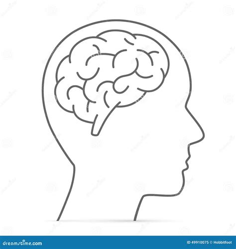 Silhouette Head With The Brain Stock Vector Image