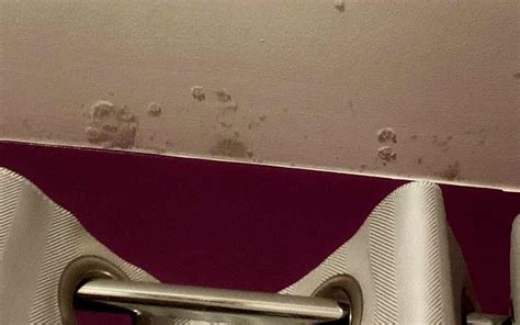 Ceiling Mold Growth Learn The Cause And How To Prevent It Environix