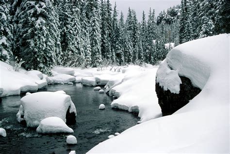 predicting flow  snow