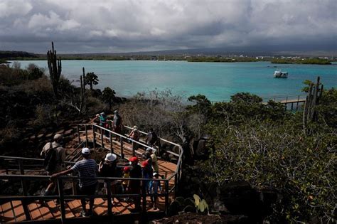 Las Islas Galápagos Viven Hace Meses Entre La Falta De Gas Y Los Víveres Caros Infobae