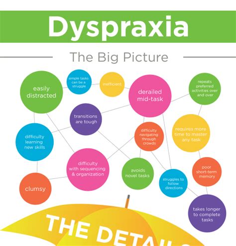 How To Deal With Dyspraxia Infographic Dyspraxia Educational Infographic Dysgraphia