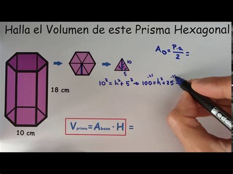 Ama De Casa Productividad Vitalidad Area De Un Prisma Hexagonal Ejemplo