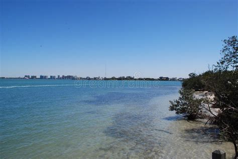 Sarasota Bay Stock Photo Image Of Gulf Blue Florida 111407834