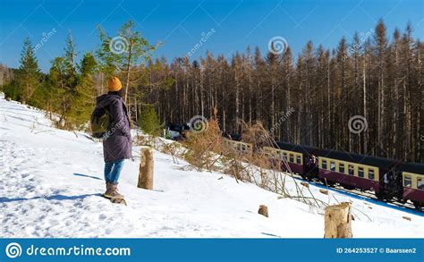 Mujeres Viendo El Tren De Vapor Durante El Invierno En La Nieve En La