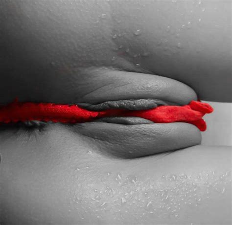 Gorgeous Pussies Porn Pic