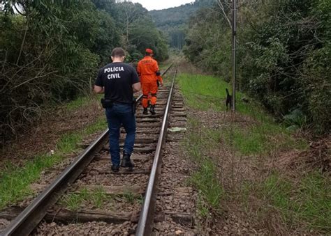 Cão farejador auxilia nas buscas por mulher desaparecida em Colinas