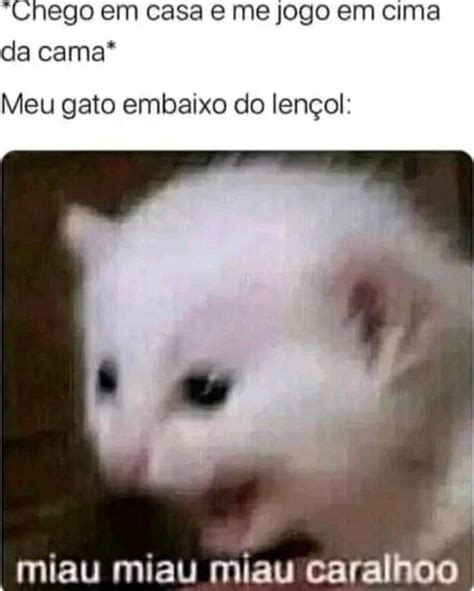 Chego em casa e me jogo em cima da cama Meu gato embaixo do lençol