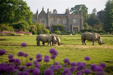 Cotswold Wildlife Park - Cotswolds Concierge