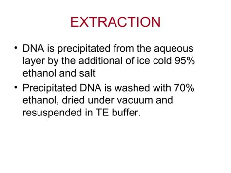 Dna extraction | PPT