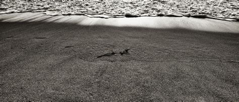 Redondo Beach on Behance