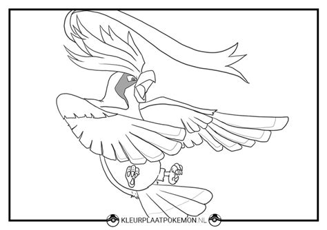 Pidgeot Pokemon Pages Coloring Pages