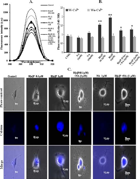 Intracellular Calcium Levels In Neuro2a Cells A Emission Spectra For