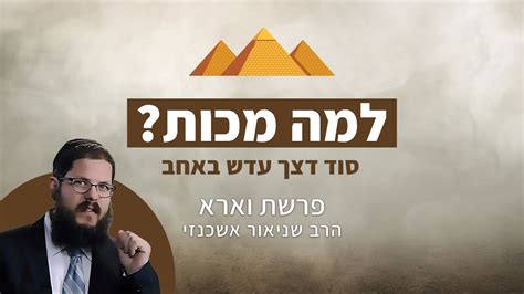 הרב שניאור אשכנזי פרשת וארא • למה מכות סוד דצך עדש באחב Youtube