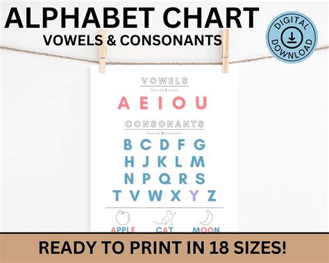 Vowels And Consonants Chart Phonics Poster Classroom New 55 Off