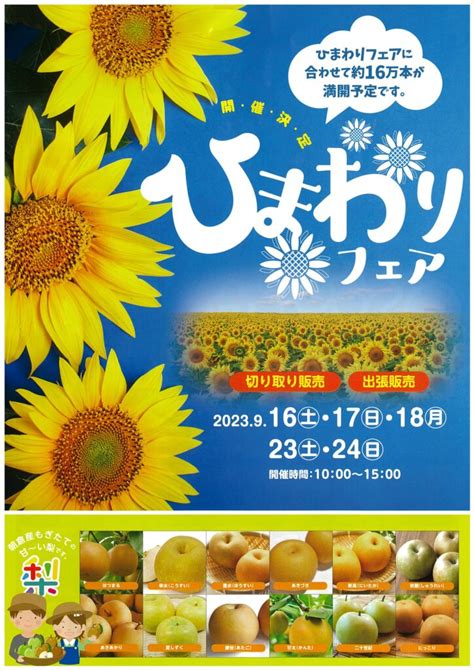 秋月・原鶴温泉などの観光情報｜あさくら観光協会【公式】 202309ひまわりフェア 秋月・原鶴温泉などの観光情報｜あさくら観光協会【公式】