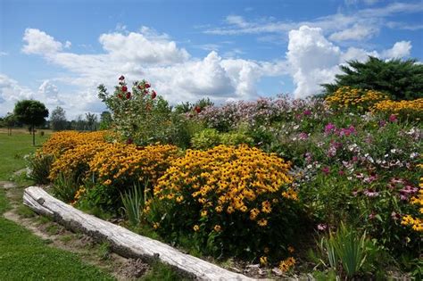 The Gardens of Poland- Part 2 | Gardening Tips for the Santa Cruz Mountains