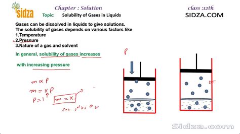 Solubility Of Gases In Liquids Henrys Law Youtube