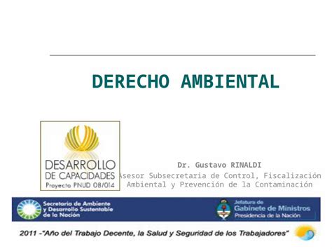 Ppt Derecho Ambiental Dr Gustavo Rinaldi Asesor Subsecretaria De