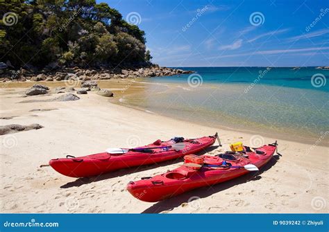 Kayaking Abel Tasman stock photo. Image of purity, national - 9039242