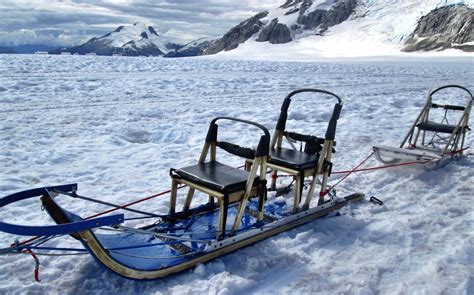 Dog Sledding in Juneau, Alaska - Married with Wanderlust