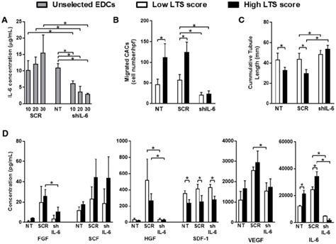 Il Knockdown Promotes Angiogenesis And Reduces The Recruitment Of