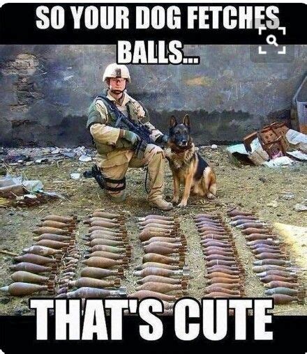 Pin By Ellabuckleyx On Dog Military Dogs Dog Memes Military Working