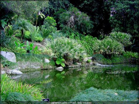 Japanese Garden 12 Pond by AndySerrano on DeviantArt