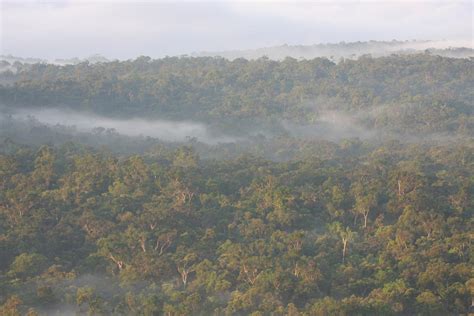 Collection Of New Bird Species Discovered On Eurekalert