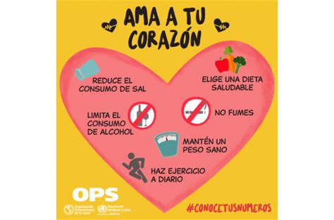 Noticia Para Cuidar La Salud Del Corazón Es Fundamental Seguir Una