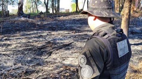 Batalh O Ambiental Flagra Destrui O De Vegeta O Nativa Em Caxias