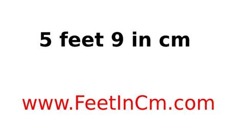 5 6 In Cm 5 Feet 6 Inches To Cm