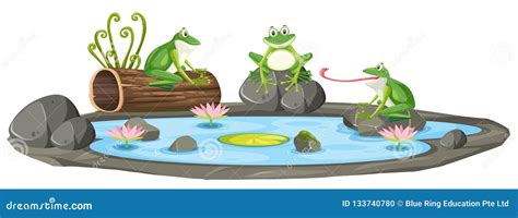 Frog On The Pond Cartoon Vector 72885507