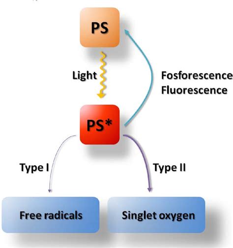 Figure From Aminolevulinic Acid Ala As A Prodrug In Photodynamic