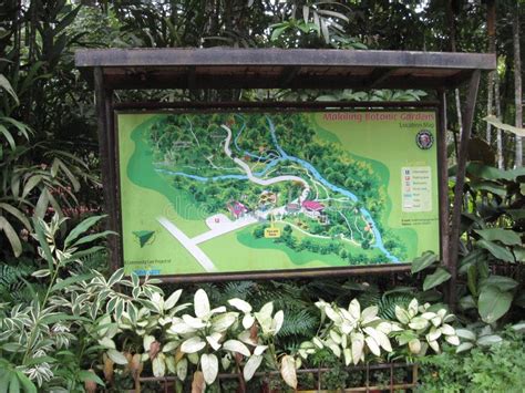 Uma Placa Do Sinal Da Informa O Em Jardins Nicos De Makiling