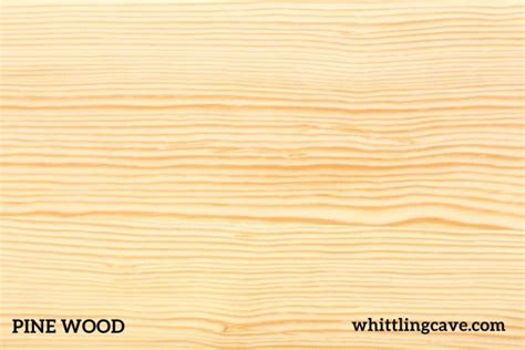 Top Softest Wood Types For Carving Best Guide