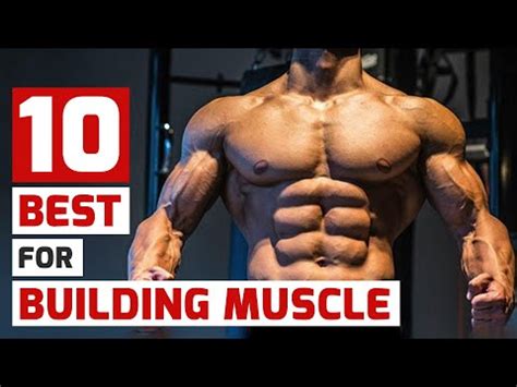 Top Trainers Agree These Are The 10 Best Muscle Building Exercises