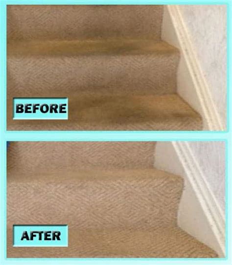 DIY Carpet Cleaning Stairs – Genesis 950 Concentrate