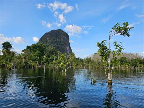 Krabi: South Kayak Klong Root Kayaking Tour