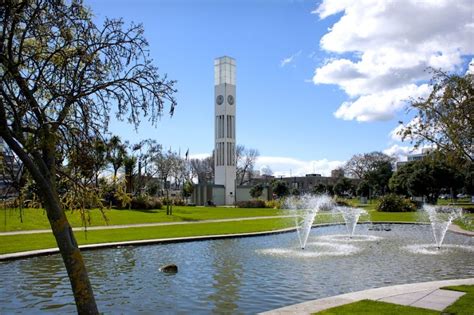 Top Things To Do In Palmerston North Needabreak